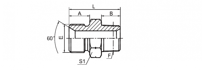 Adattatore del filo dell'ottone BSP di industria/fili di tubo paralleli di sigillatura 1bt-Sp