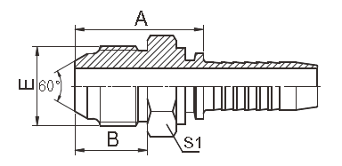18611 montaggio di tubo flessibile idraulico metrico, JIS montaggi del cono da 60 gradi